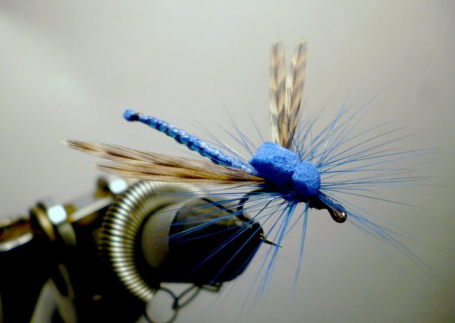Blue Damsel